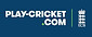 play cricket logo blue.jpeg