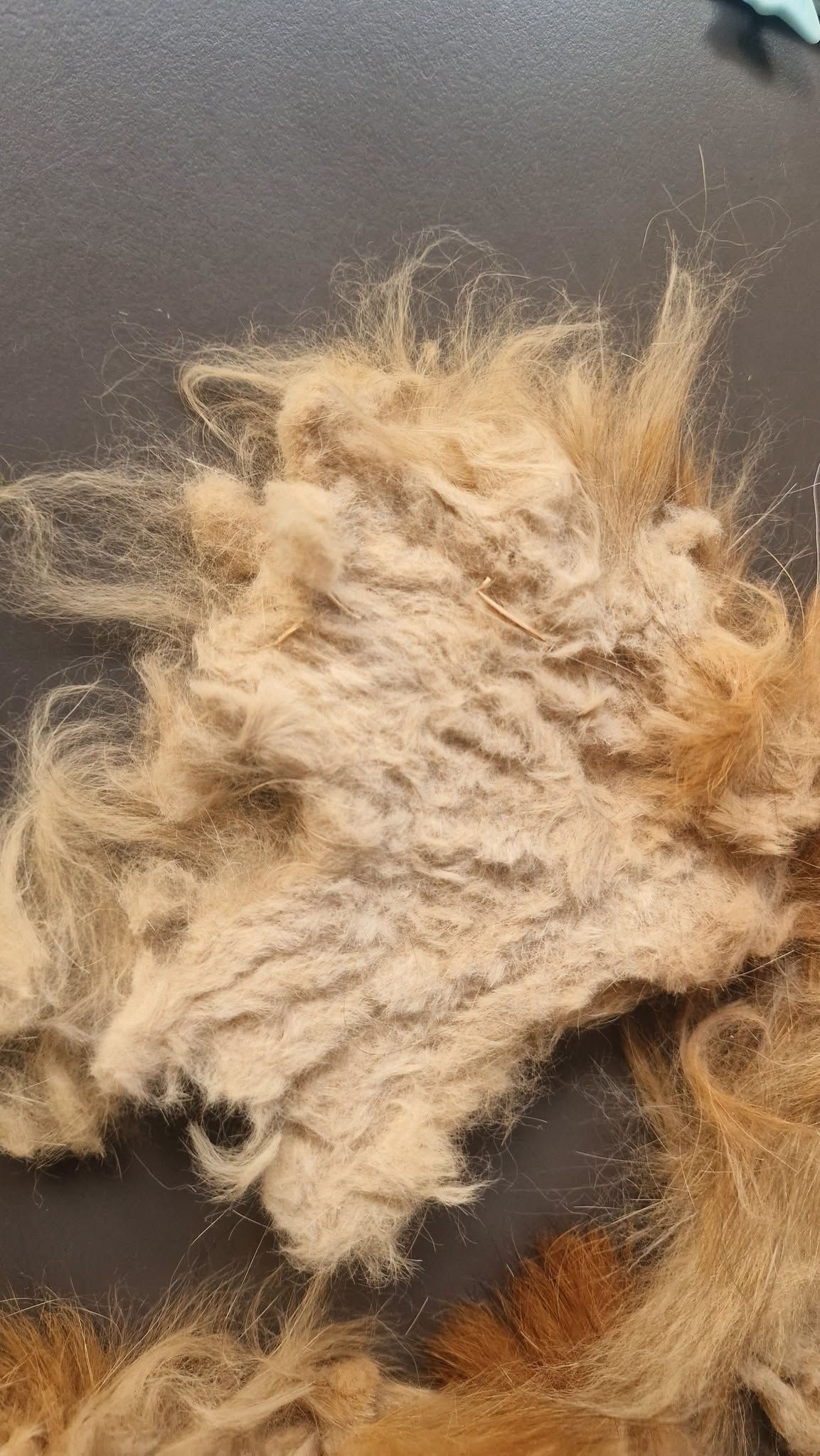 Purrfect Trim