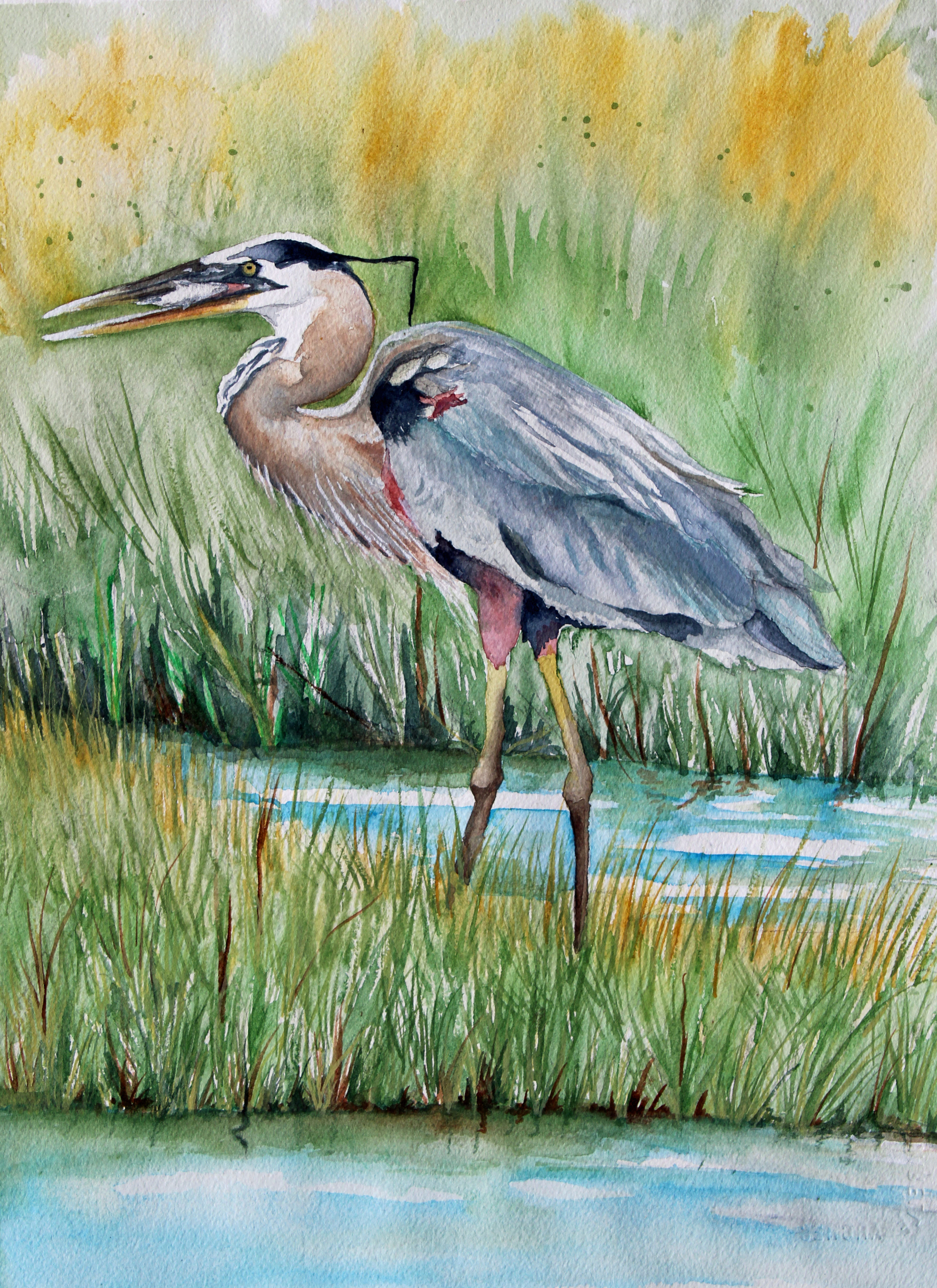 Topsail Island Catch Of The Day