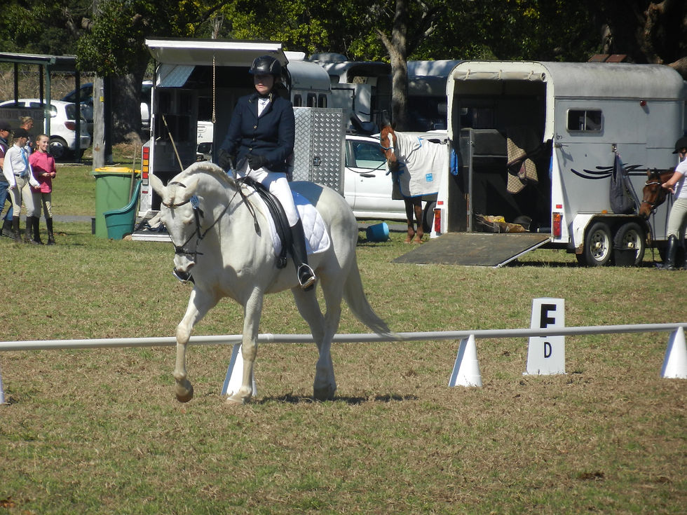 Sir Casper ODE dressage