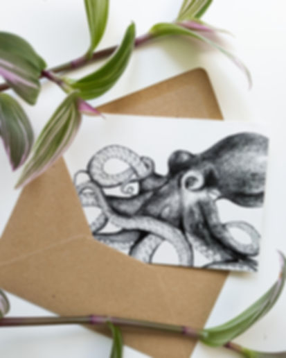 Octopus Greetings Card