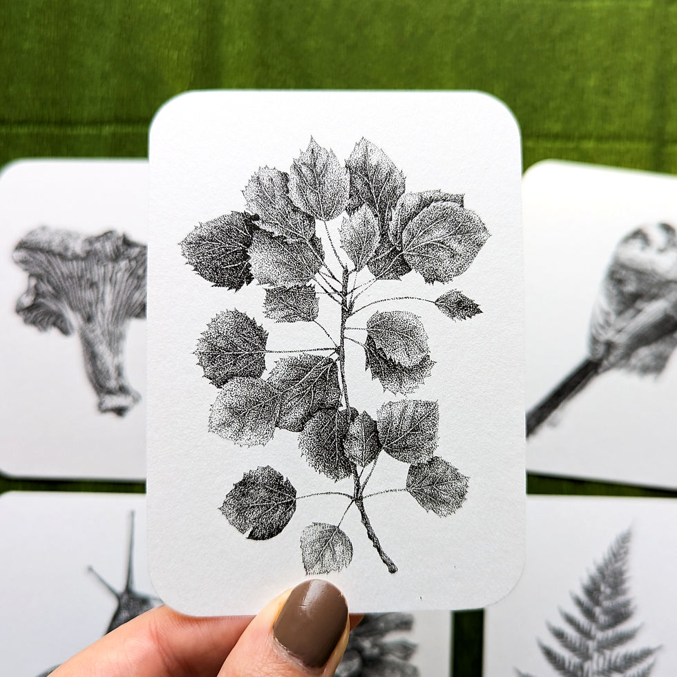Thumbnail: Set of 3 Woodland Mini Prints