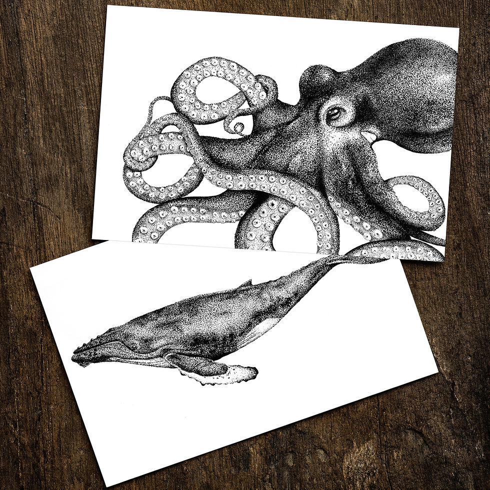 Thumbnail: Set of 3 A5 Dotwork Sea Creature Prints