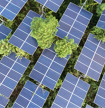 Going green with Solar