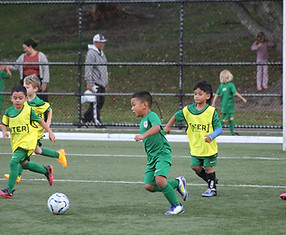 IMG_7374_edited.jpg