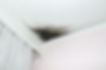bigstock-Mold-On-The-Ceiling-88358864-scaled.jpg