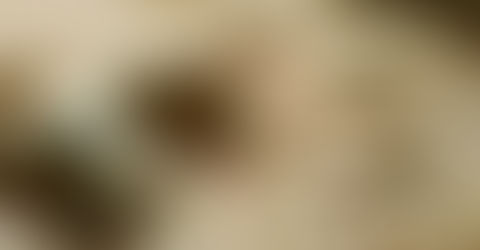 Life on Mars or just a big rock? UFO hunters claim sketchy Nasa snap shows human-like alien but the