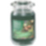 balsam & spruce yankee candle