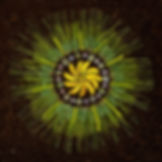 Circular ephemeral nature art mandala botanical flat lay made of yellow leaves and green grass.