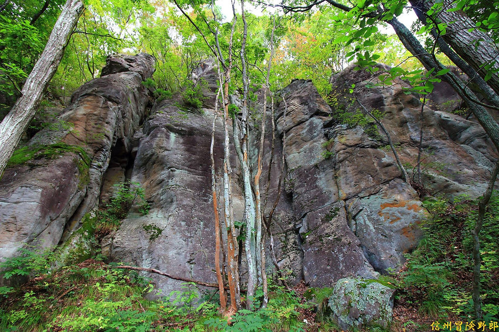 雁田山の巨大岩