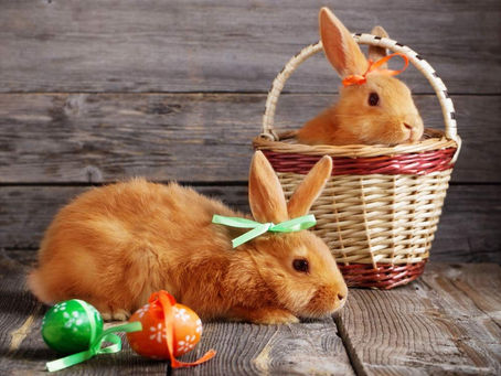 Eostre, Ostara, and Easter!
