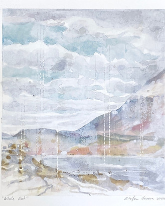 Stefan Gevers_White Out_2024.jpg