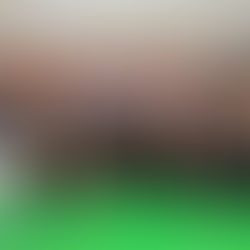 延岡には潜在力がある