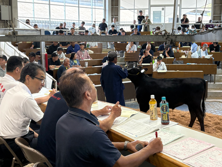 子牛の競り市へ