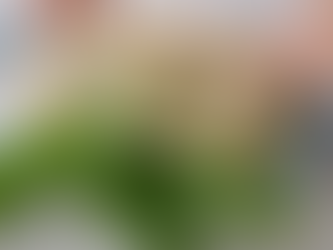 Ağız Sulandıran Balık Köfte