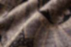 Thumbnail: Queen's Delight