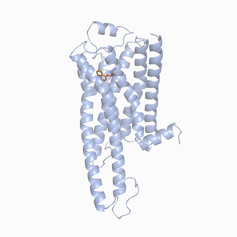 Co-folded GPCR structure with small molecule ligand bound in the orthosteric pocket