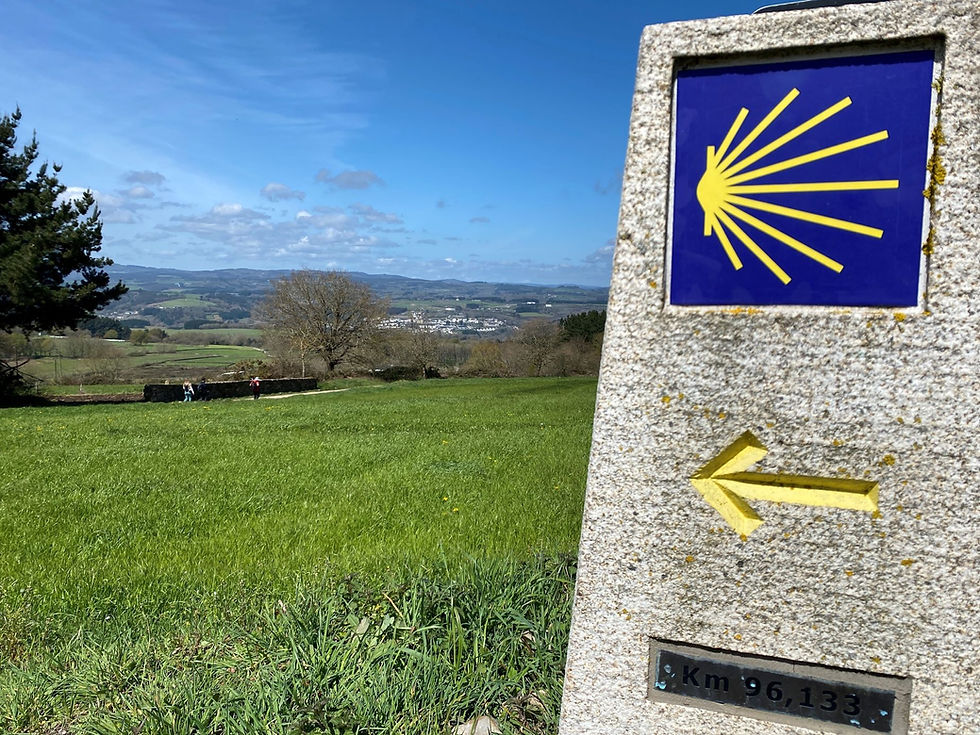 CAMINO DE SANTIAGO
