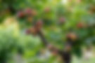 AdobeStock_736411054.jpeg