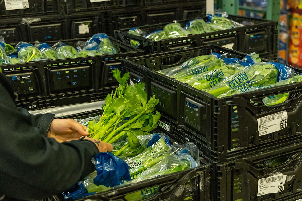 organic celery in the store