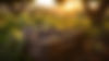 AdobeStock_677524960_edited.jpg