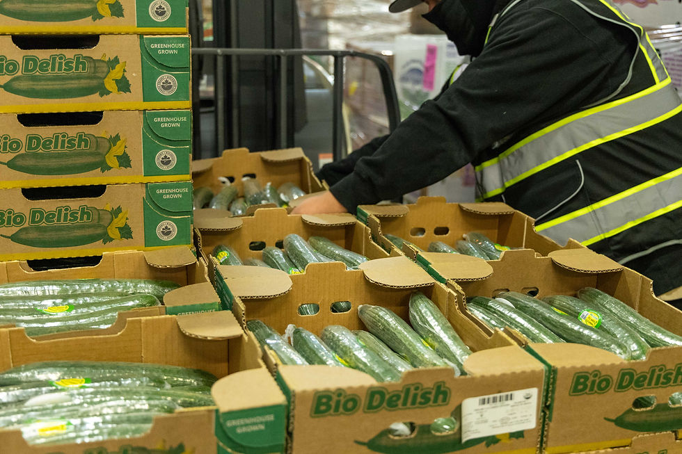 big delish cucumbers in brown boxes