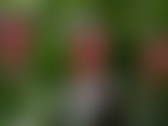 Cost of Living Crisis & Rent Arrears: A Landlord’s Guide to Protecting Your Investment