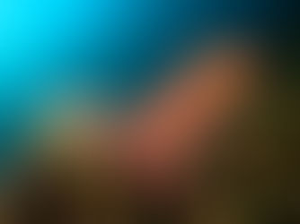 No todos los brazos del pulpo son iguales