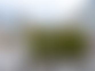 Madrid, Barcelona y Vitoria a la cabeza de la acción climática urbana