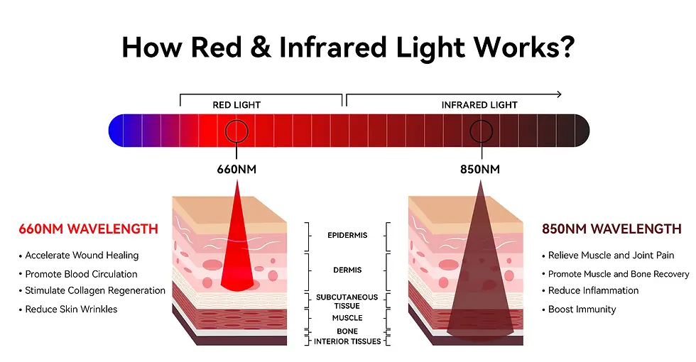How red & infrared light works