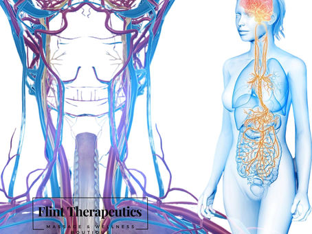 How massage helps the vagus nerve stimulation
