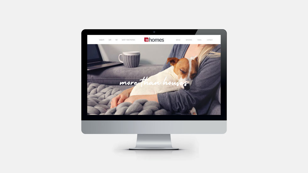 WDBI_ProjectImages_HomesEstateAgent2