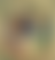 Sodom: Where Wickedness Rules -- a study of Genesis 18-19