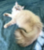 IMG_7800.jpeg