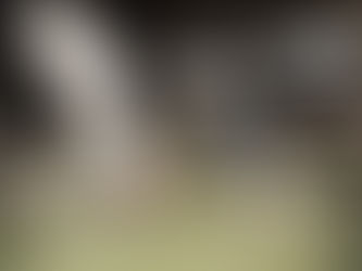 Best Milk in the World? Puerto Rico