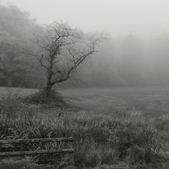 600.jpg