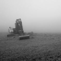 IMG_20211121_121424.jpg