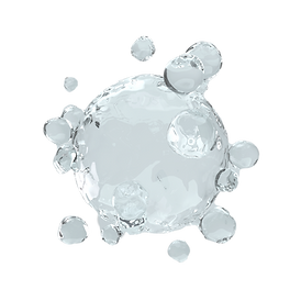 犬野と山猫と弓道のはなし