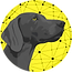 Jargo more contrast logo yellow eye (1).png