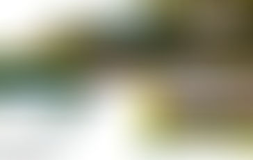 Understanding the Costs of Property Management - A Property Management Expenses Guide