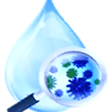 Disease%20Detectives%20logo_edited.png
