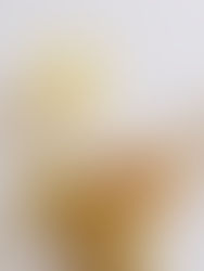 Pear + Ginger Cocktail 