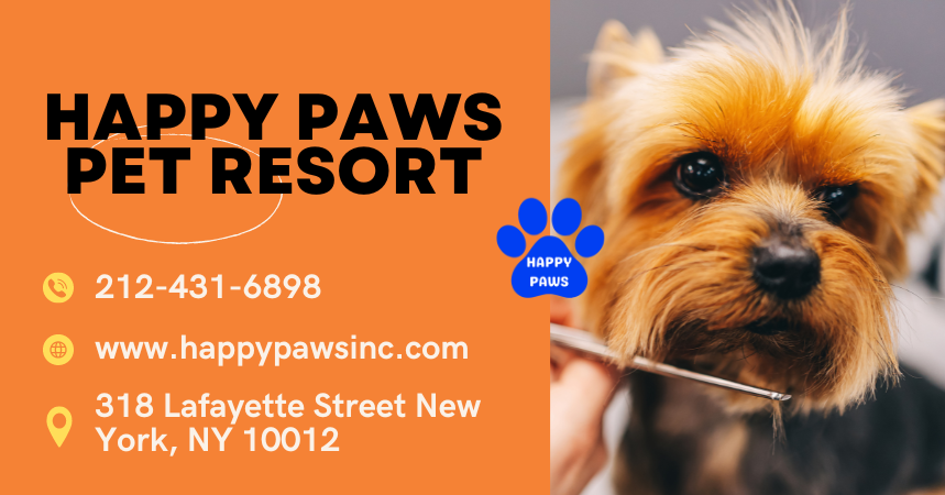 Happy Paws Pet Resort — recent pet services photo in New York, NY (Google Business Profile)