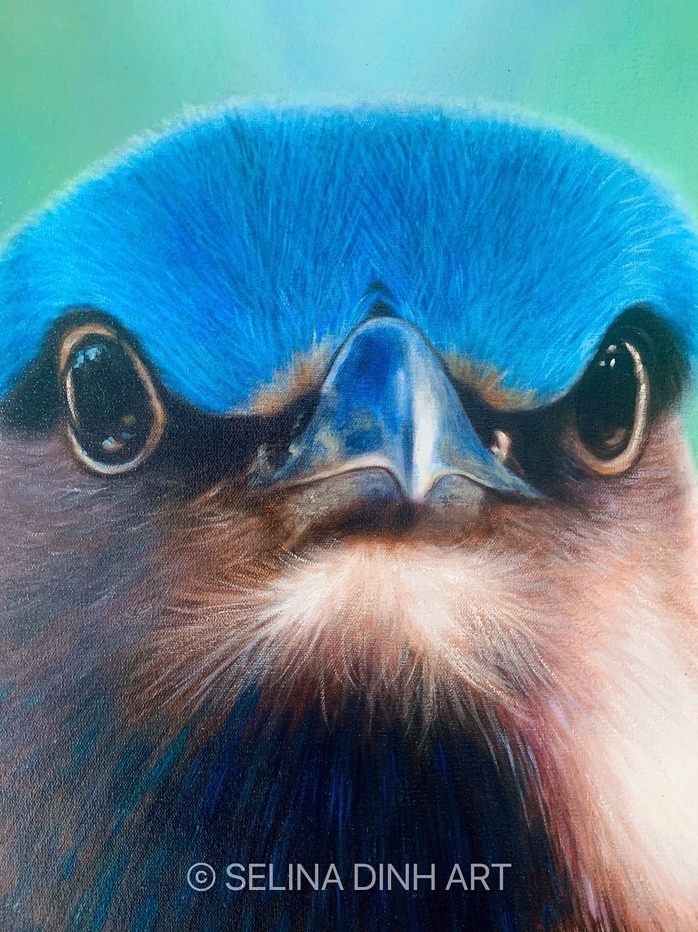 サムネイル： インディアンローラー