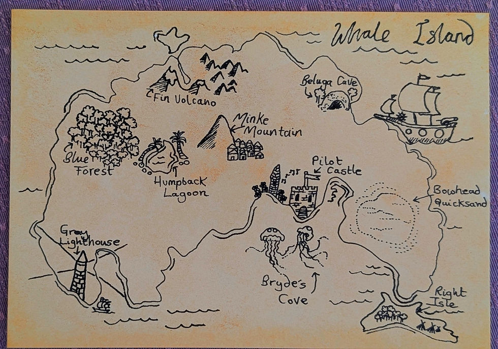 Amy's fantasty map