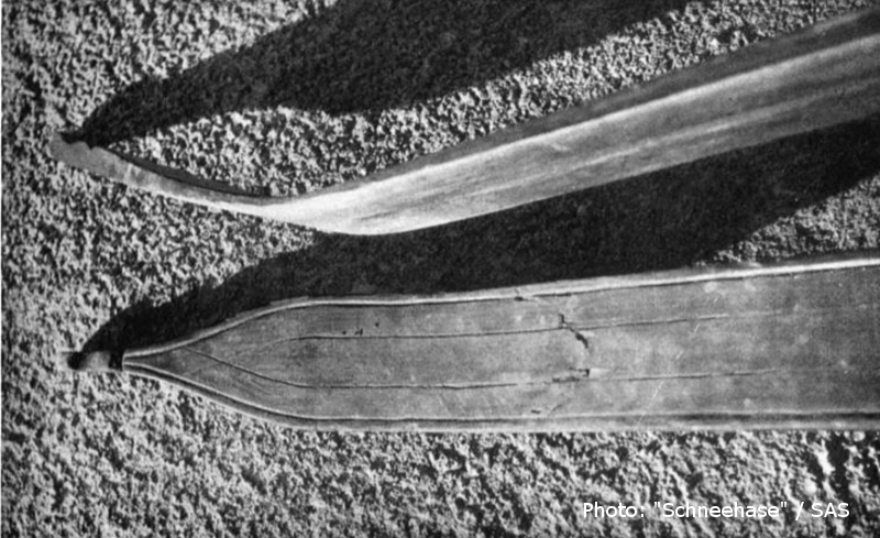 Eggenberg Skis Sils 1896