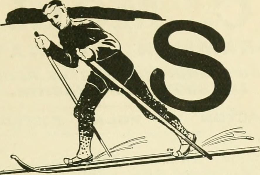 STAUB SKI LOGO