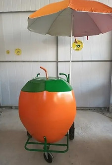 BIGCOCO LARANJINHA.jpg