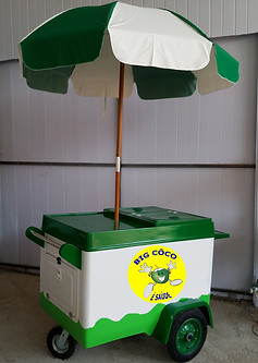 CARRINHO COCO RETANGULAR.jpg