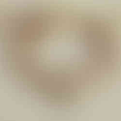 pulsera tejida a mano por artesanas triqui con dije de perrito de plata, accesorios artesanales